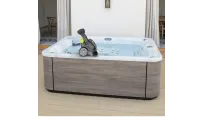 Accesorio para los SPAS de Aquavia | Robot limpiafondos